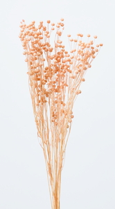 リンフラワー シャーベットピーチ