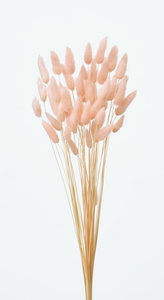 ラグラス シャーベットピーチ