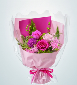 ��ػ޽�����ް� ��ݸ