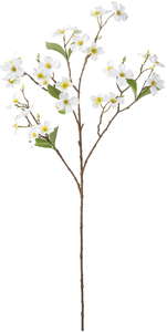 ドッグウッドブランチ