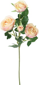 セシリアローズスプレー