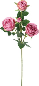 セシリアローズスプレー