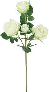 セシリアローズスプレー