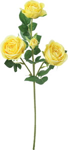 セシリアローズスプレー