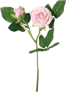 シフォンローズスプレー