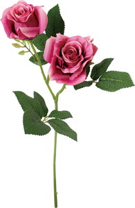 ブランシェローズスプレー