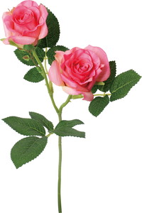 ブランシェローズスプレー