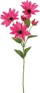 ダリアスプレー