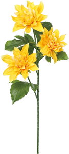 ダリアスプレー