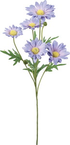 マーガレットスプレー