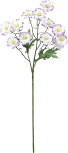 サンティニマムスプレー