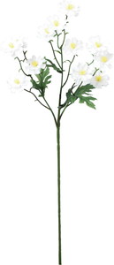 サンティニマムスプレー