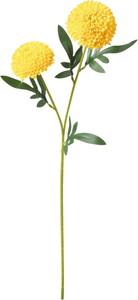 ポンポンマムスプレー