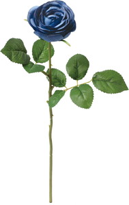 �ݸ�ٶް���۰��