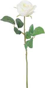 �ݸ�ٶް���۰��