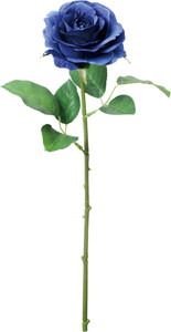 ���ި�۰��