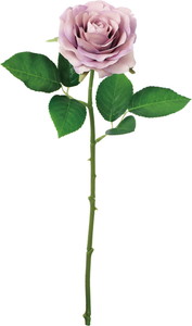 ���ި�۰��