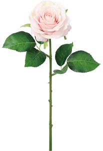 ���ި�۰��