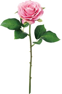 ���ި�۰��