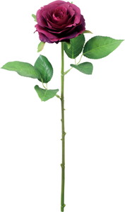 ���ި�۰��