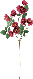 �ƶް���۰�޽��ڰ