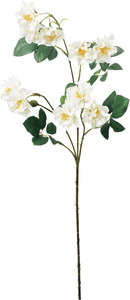 ミニガーデンローズスプレー