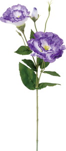 元上代¥680 フリルリシアンサススプレー