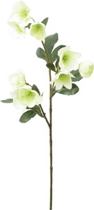 �ƸؽϽ۰�޽��ڰ