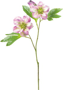 �߰è���ڽ�ؽϽ۰��