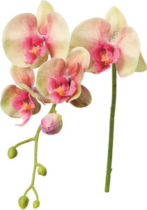 ڱ�ź�����