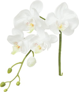 ڱ�ź�����