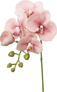 �ذ������