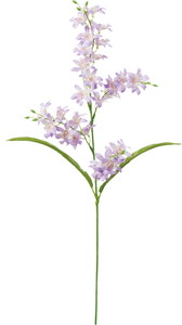 ミニシンビジュームスプレー