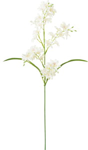 ミニシンビジュームスプレー