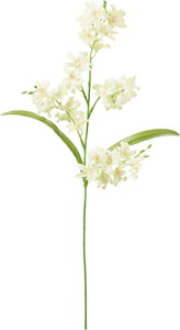 ミニシンビジュームスプレー