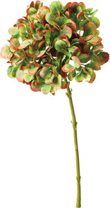 ϼ޶�ʲ���ݼޱ