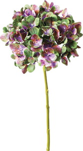 ϼ޶�ʲ���ݼޱ