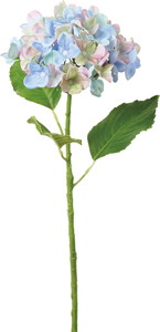 �߽��Я��ʲ���ݼޱ