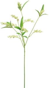 ���ƶ���ڰ