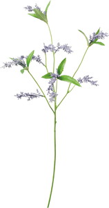 ���ƶ���ڰ