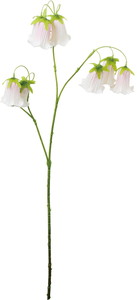 カンパニュラスプレー