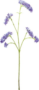 ������Ǳ��