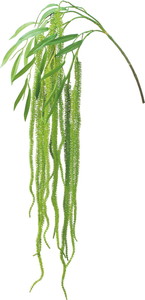 ���ݻ��ݶް