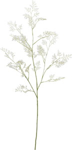 ��Ƴ������