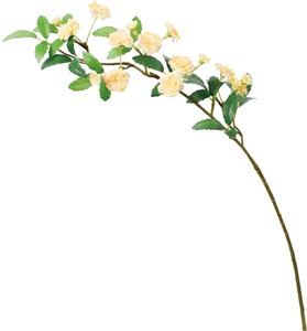 ӯ����׽��ڰ