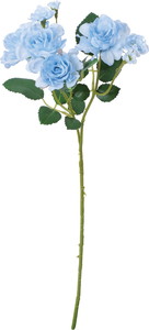 �����۰�޽��ڰ