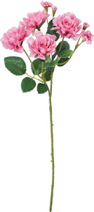 �����۰�޽��ڰ