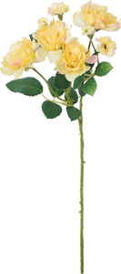 �����۰�޽��ڰ