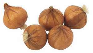 【個人宅配送不可】オニオン(5ケ)