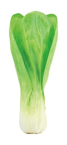 �y�l��z���s�z�ݹ�ݍ�